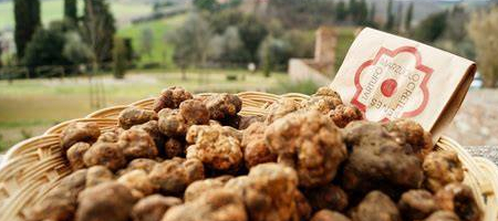 Cestino di tartufi Marzuoli delle Crete Senesi