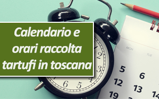 Calendario e orari raccolta tartufi in toscana