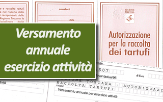 Versamento annuale esercizio attività